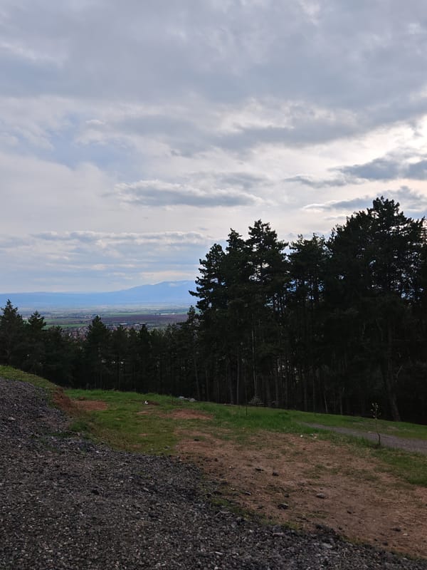Elevated landscape view captured showing gravel slope and grass path