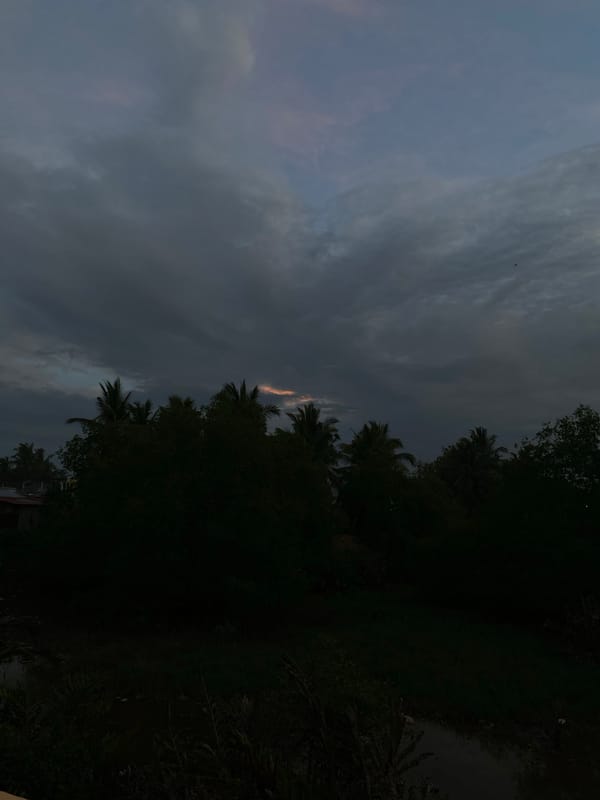 Sunset documented through palm trees in Tanjongkapai, Indonesia