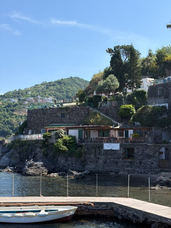 Witness captures daily scenes around Ischia, Italy waterfront and castle