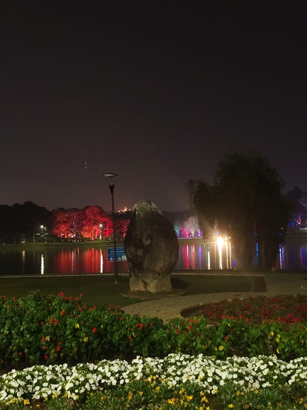 Nighttime lakeside flowers captured at Da Lat's Xuan Huong Lake