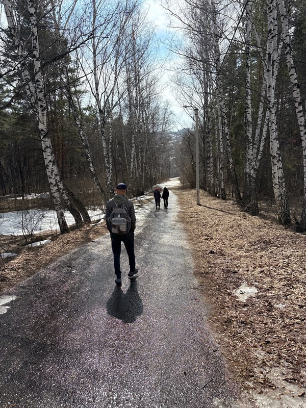 Woman walks through birch forest in early spring Ulyanovsk