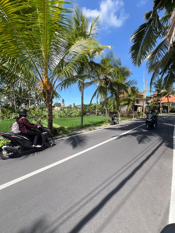 Tourist documents morning scooter ride and resort visit in Ubud
