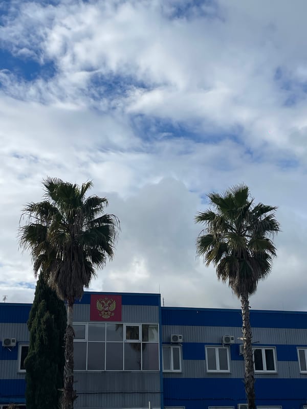 Palm trees observed in varying conditions in Sirius, Russia