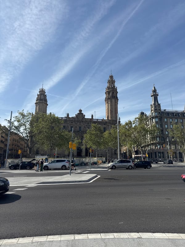 Street scene documented on Barcelona's Passeig de Colom thoroughfare