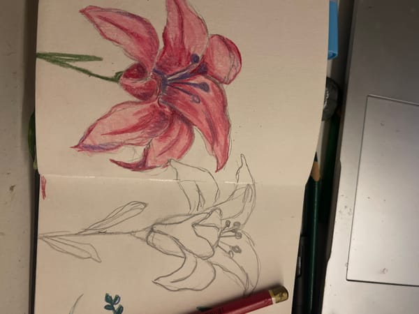 Artist documents mixed-media sketchbook work in Maidstone