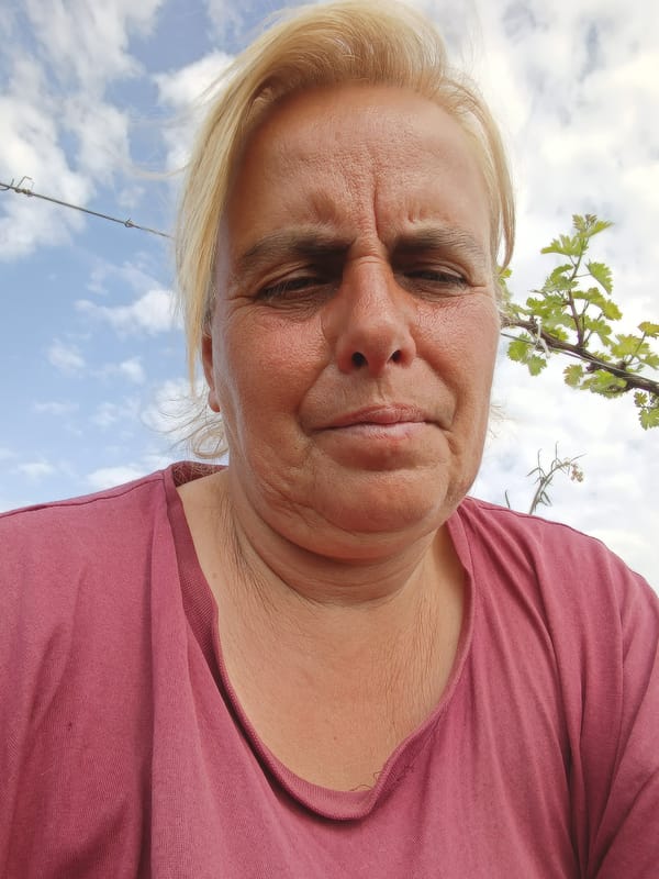 Morning vineyard visit documented with portraits and agricultural scenes