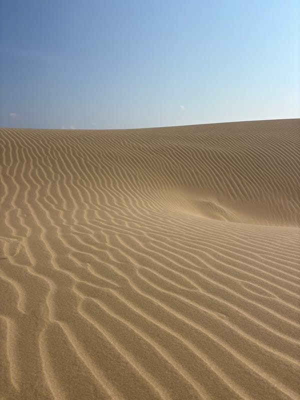 Sand dune landscapes documented in Phuoc Dinh, Vietnam