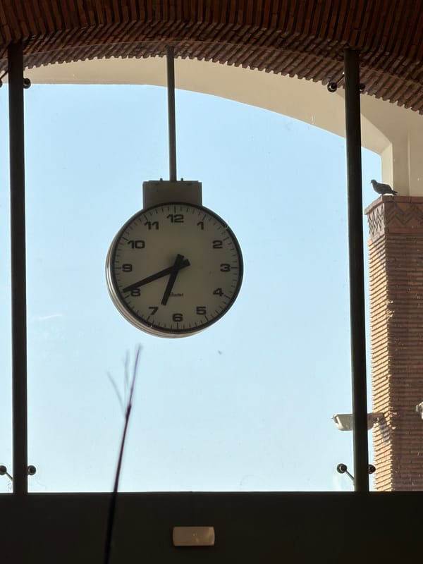 Witness captures Marrakesh architecture and streetscapes in six-minute sequence