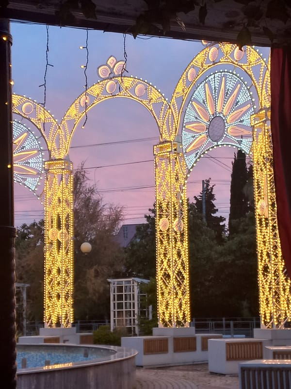 Witness documents illuminated festival displays and gardens in Sochi