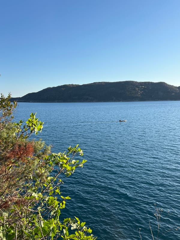 Woman watches lone paddler from Budva waterfront