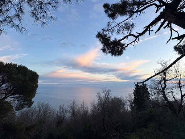 Sunset coastal and forest scenes captured in Šušanj Montenegro