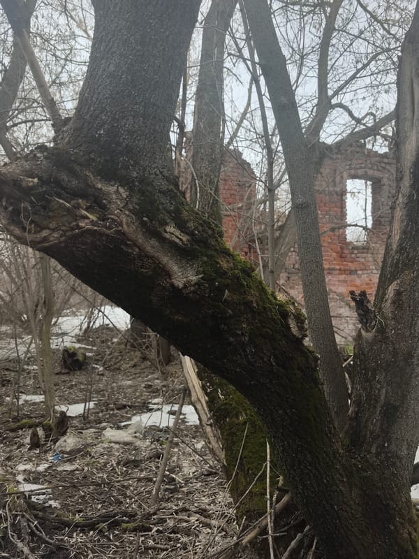 Brick ruins documented in Tolba, Russia amid spring thaw