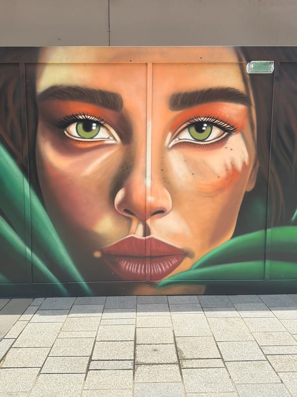 Street art and suburban scenes captured during afternoon hours