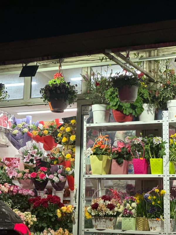 Evening snapshots capture daily life moments across Varna, Bulgaria