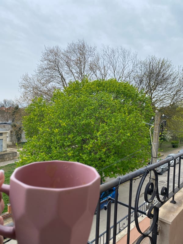 Morning coffee moment captured on ornate balcony in Kavarna