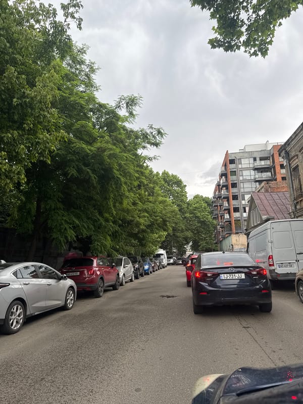 Morning street life documented across Tbilisi during traffic hours