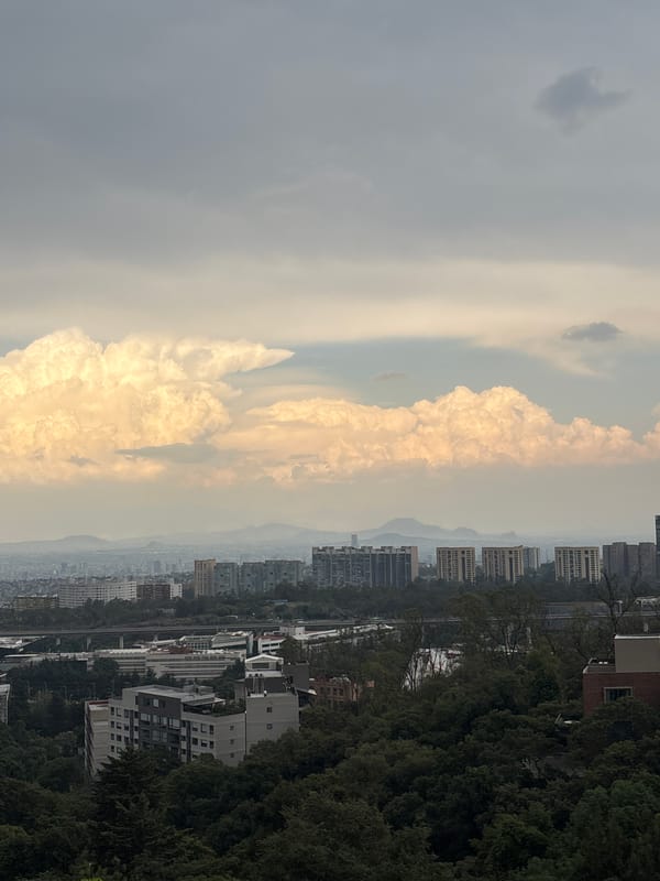 Mexico City resident captures urban skyline and indoor flowers