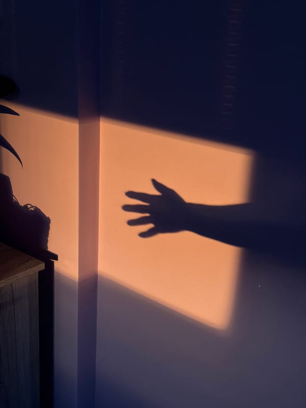 Sunset lighting effects documented in Dreiliņi, Latvia