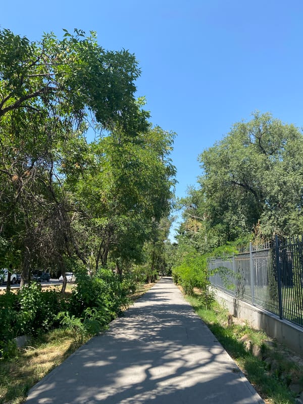 Summer morning in a Bishkek park