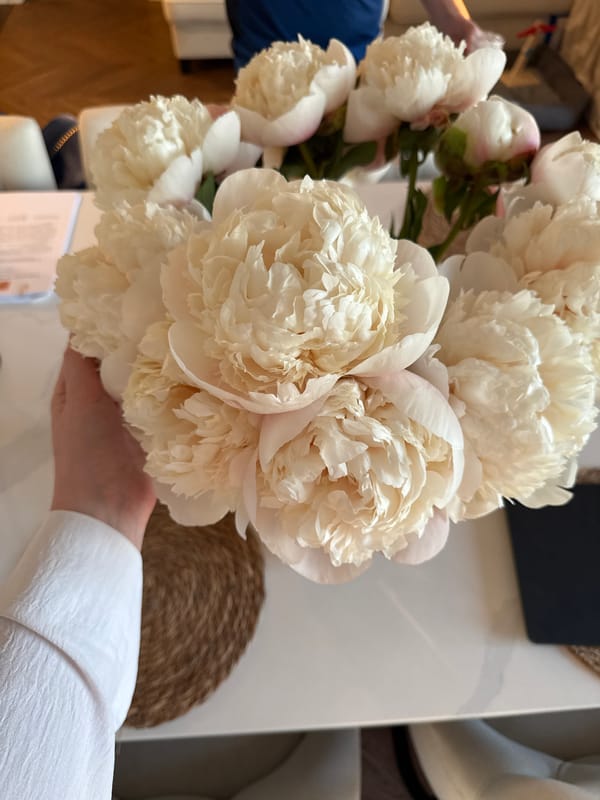 Moscow resident captures evening moments with peonies, dogs, sunset