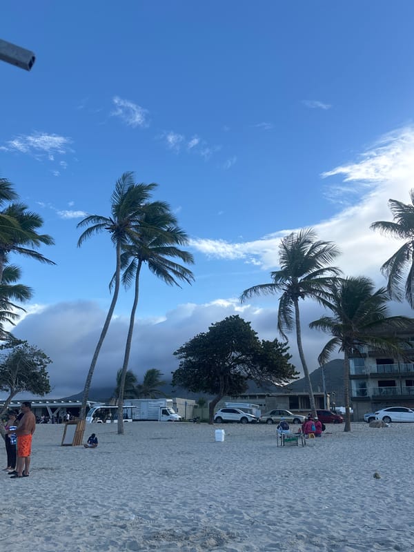 Relaxed beach and pool day with palm trees and ocean views