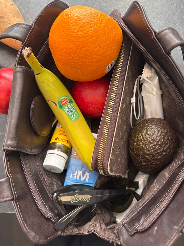 Handbag Contents Documented in North Vancouver Include Fresh Produce