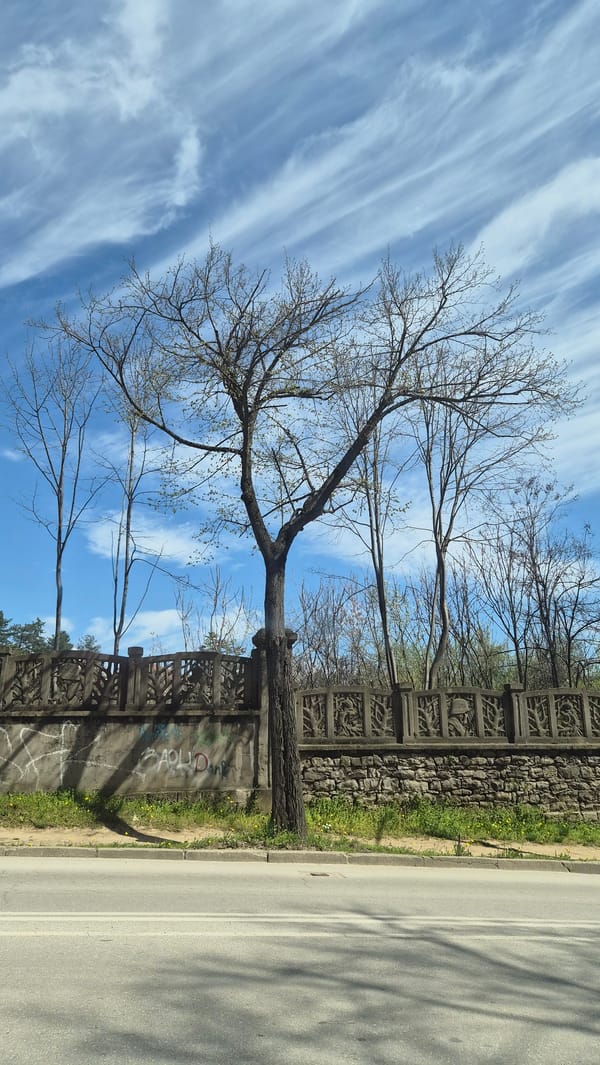 Blue Hyundai Kona Electric spotted in urban street scene
