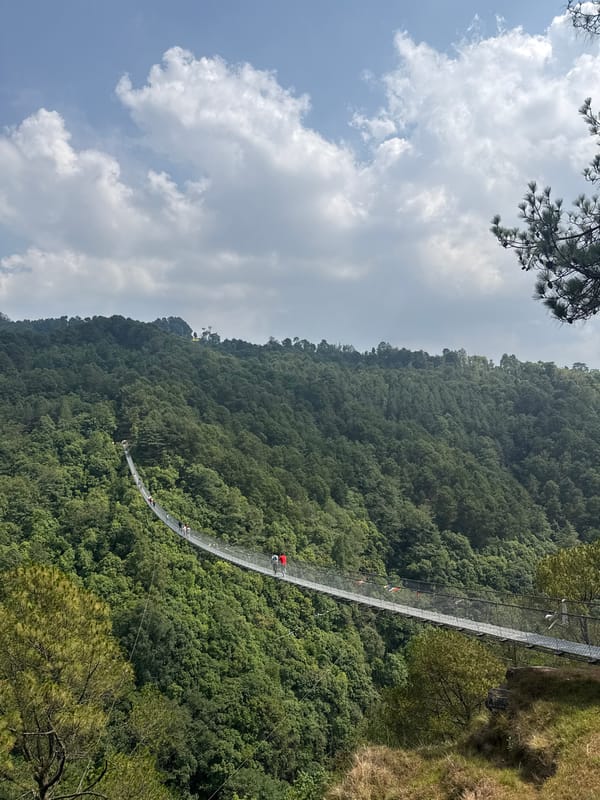 Morning foot traffic recorded on Nepal suspension bridge
