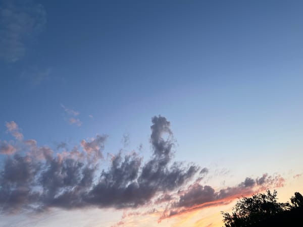 Backyard evening in Donskoye: picnic, dogs, and a slow sunset