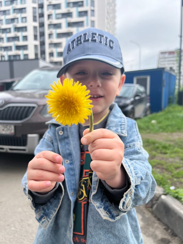 Morning scenes captured in Mytishchi: boy, dogs, smartphone