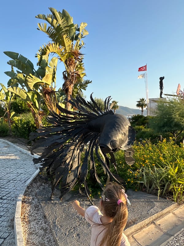 Fethiye waterfront park buzzing on a summer afternoon