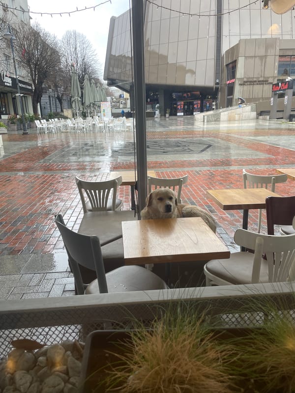 Rainy day scenes and cafe moments captured in Varna