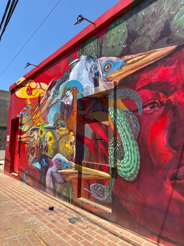 Vibrant street murals documented in La Asuncion, Venezuela
