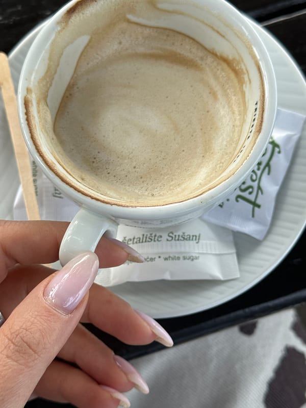 Spring blooms observed on flowering tree in Bar, Montenegro