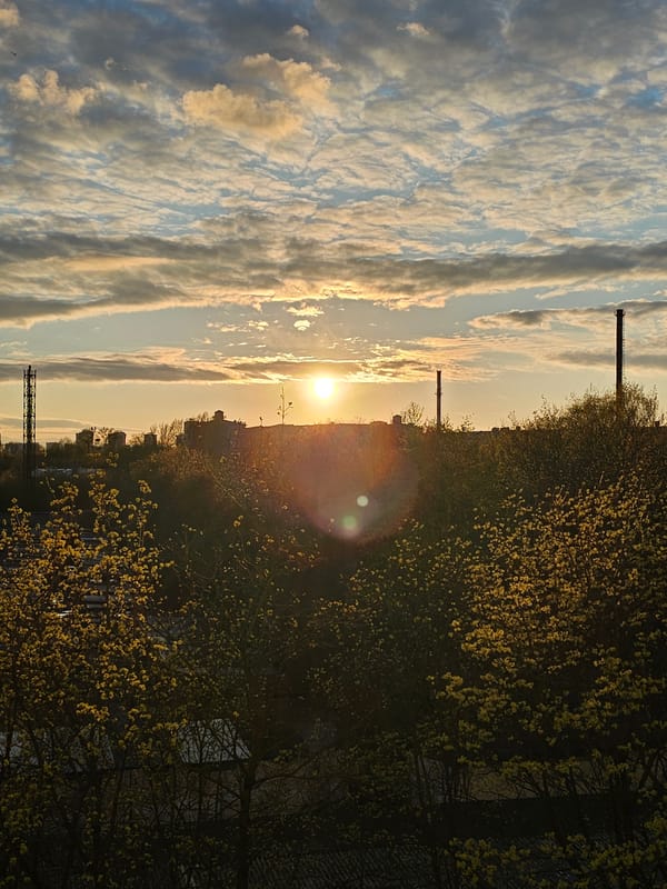 Sunset observed over Khimki urban landscape with highway bridge