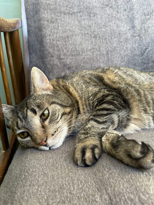 Quiet domestic moments captured in Riga apartment setting