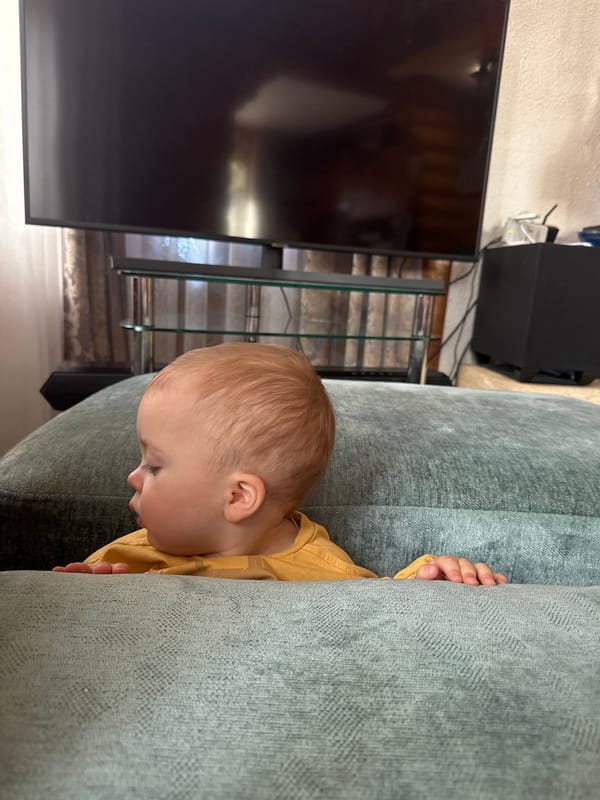 Family enjoys quiet afternoon at home in Tomilino