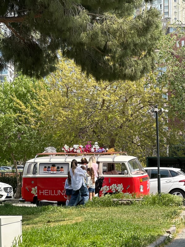 Decorated Volkswagen bus draws gathering in Istanbul park