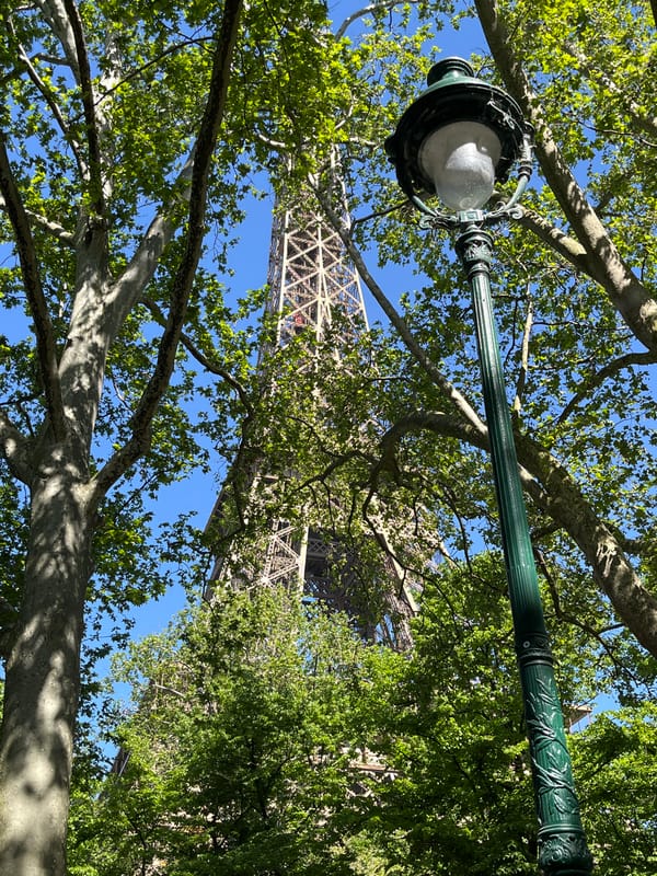 Witness documents upward views of Eiffel Tower through Paris trees