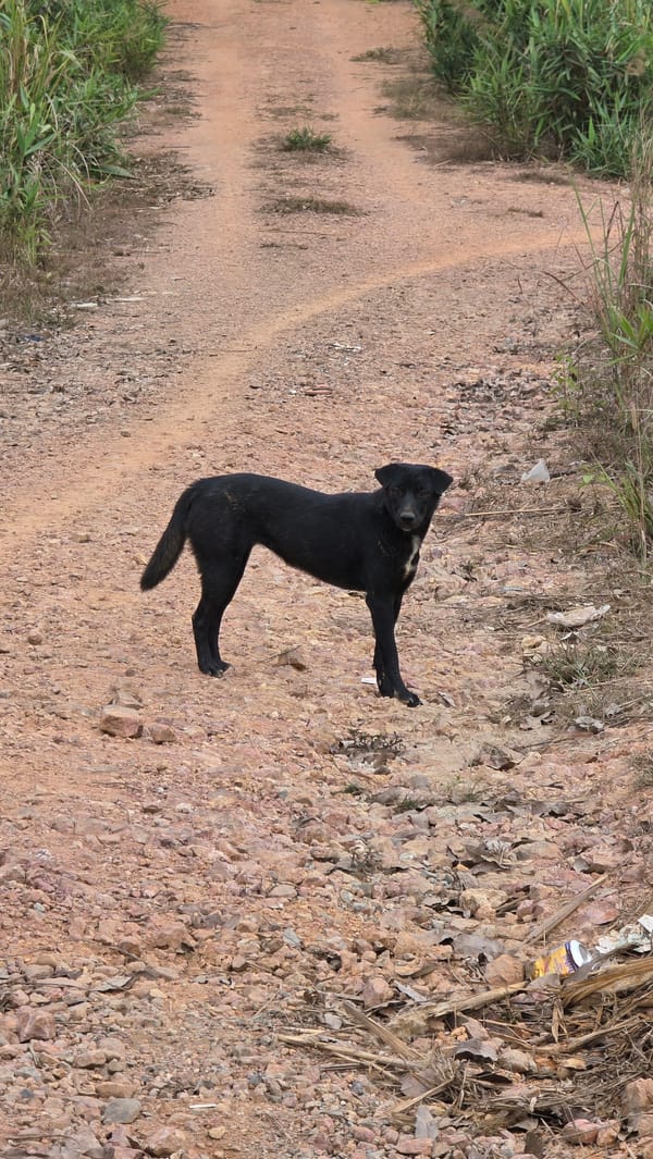 Morning scenes documented along Laos-Vietnam border region