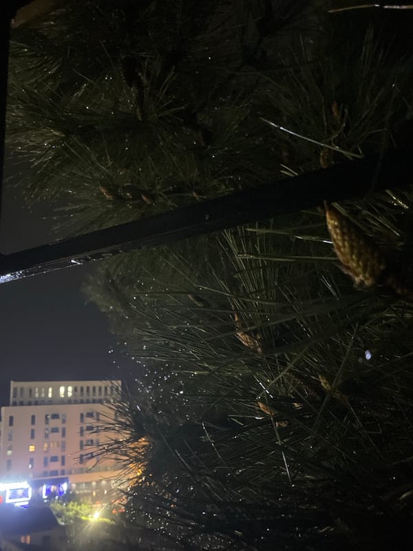 Nighttime urban observations documented across Budva, Montenegro