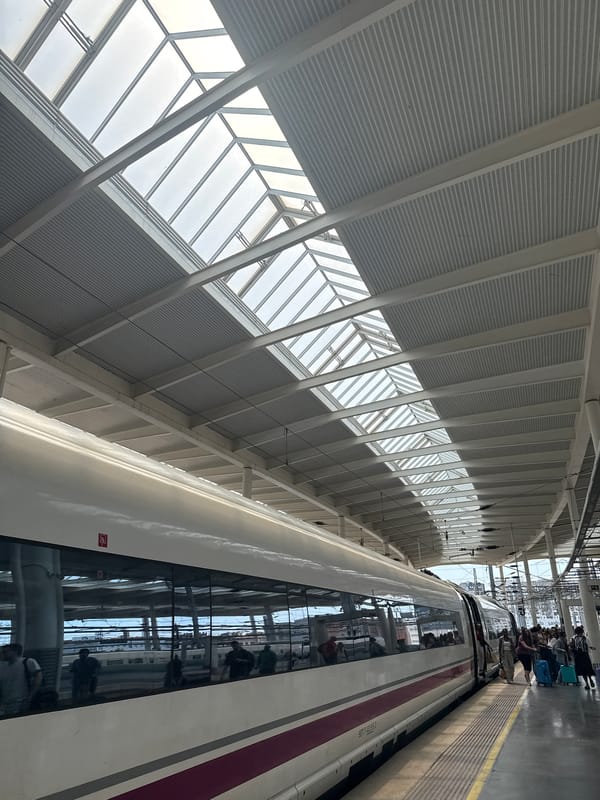 Passengers board train at Madrid station Saturday morning