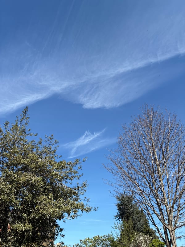 London witness photographs blue sky with clouds and insects