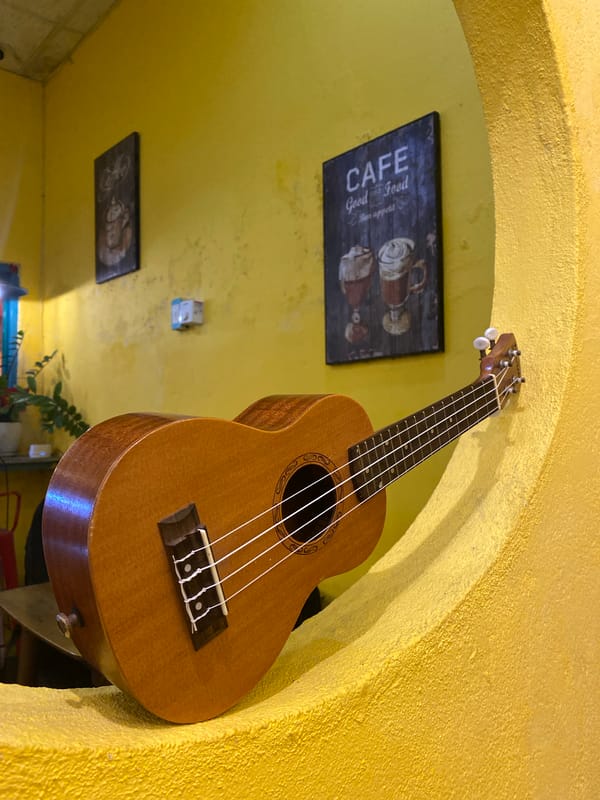 Ukulele décor and wrap dishes at a Đà Nẵng café