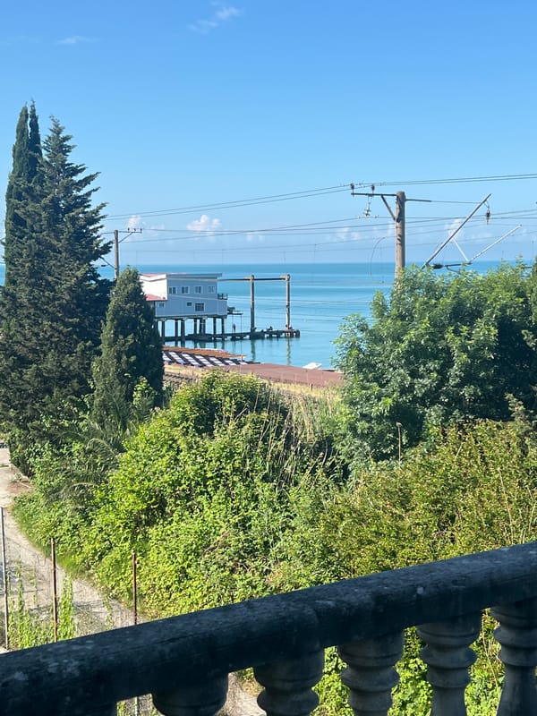 Morning coastal observations capture trains, cats, and seaside tranquility