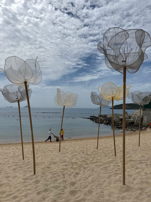 Translucent floral sculptures installed along Nha Trang beach