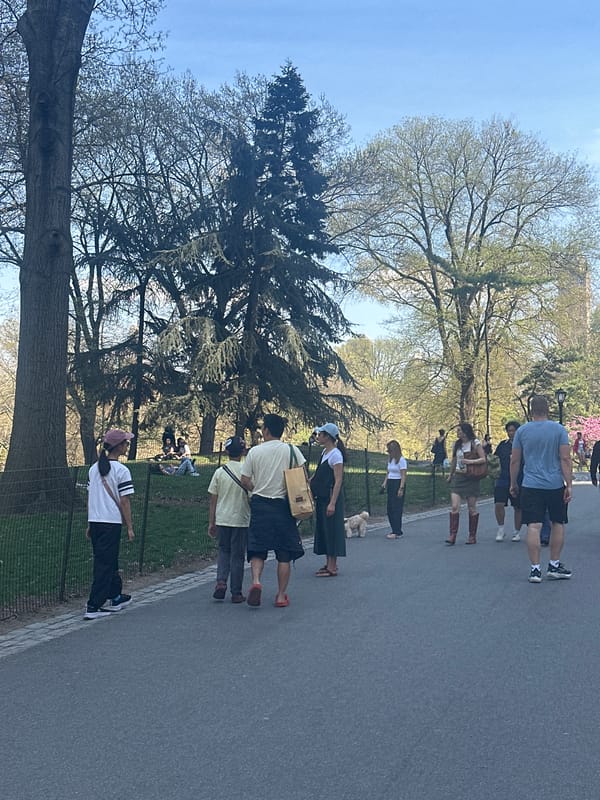 Spring evening stroll captured in Central Park NYC
