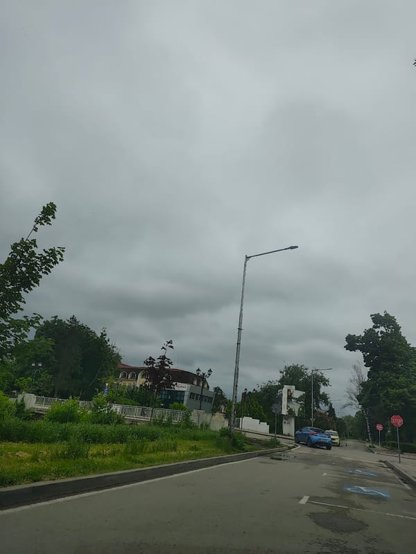 Spring flowers bloom across Razgrad, Bulgaria on overcast morning