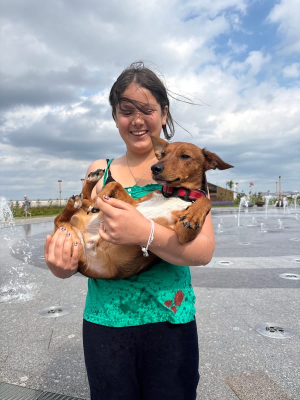 Morning recreation documented at Saint Petersburg waterfront park