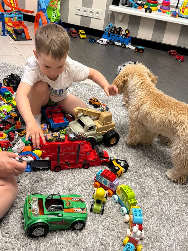 Child plays with toy cars, dogs in Ukrainian home